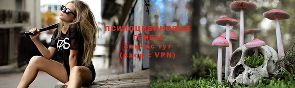 марки lsd Михайловск