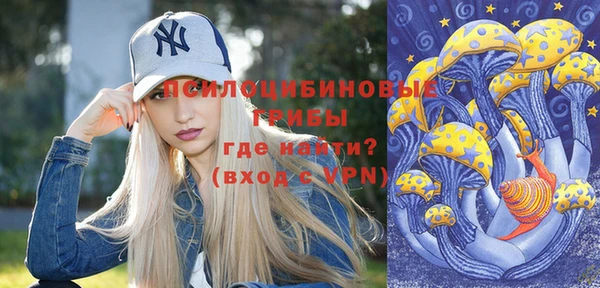 spice Абинск