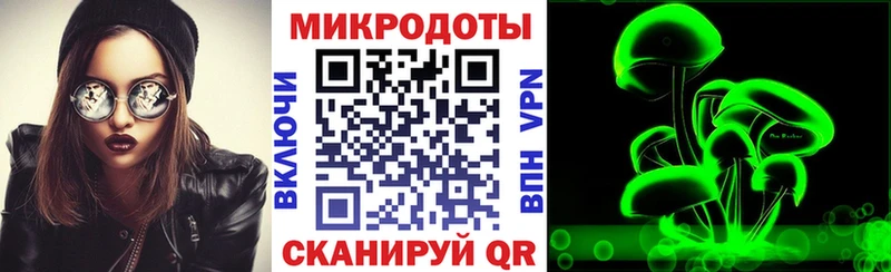 OMG   Кисловодск  Галлюциногенные грибы ЛСД 