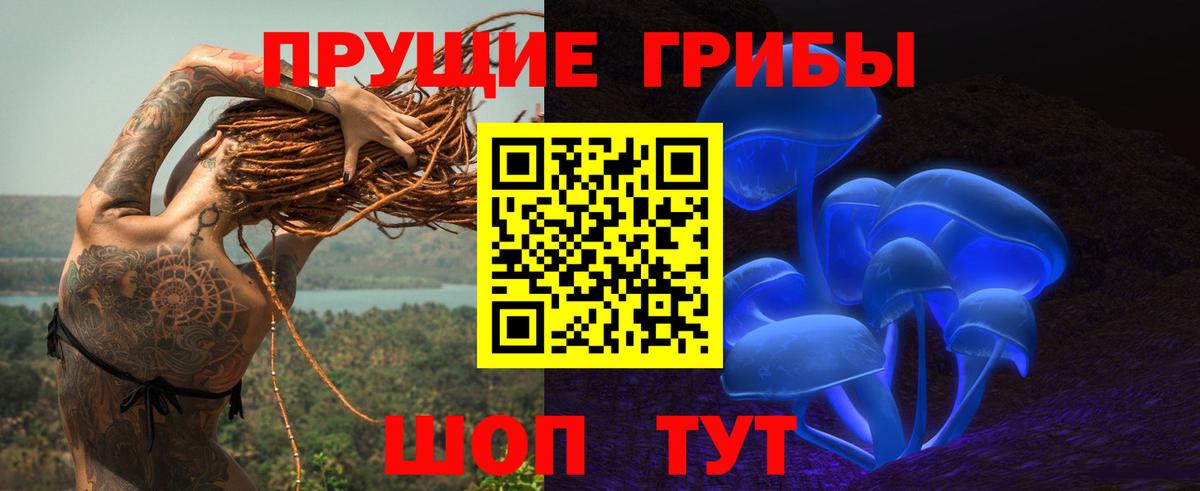 Псилоцибиновые грибы ЛСД  Вход с VPN  Галлюциногенные грибы Psilocybe  Кисловодск 